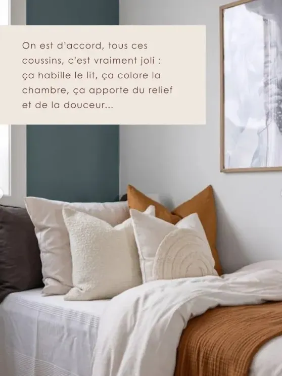 Post Instagram. Montrant l'utilité des coussins Aussi bien dans la décoration Que la fonctionnalité