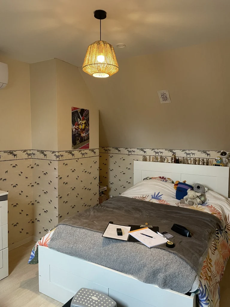 Vue 1 de la chambre avant transformation